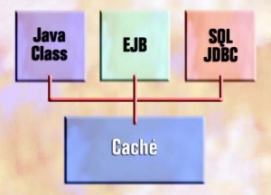 Cach & Java Access