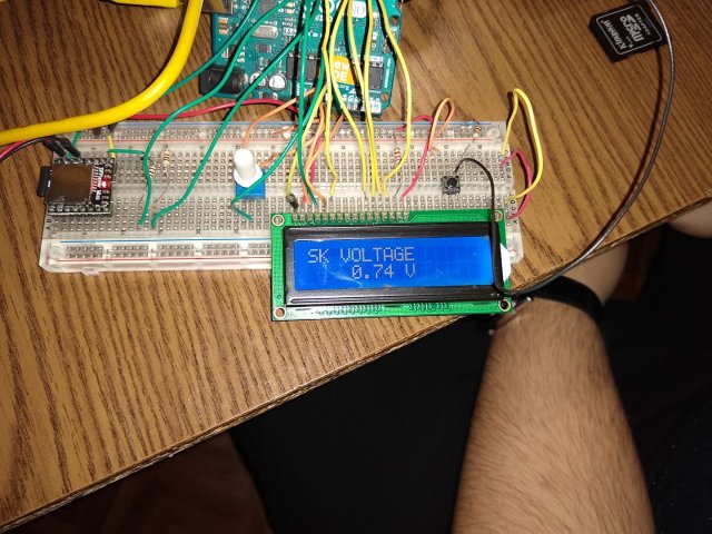 PLEL - Maďarsko 2019