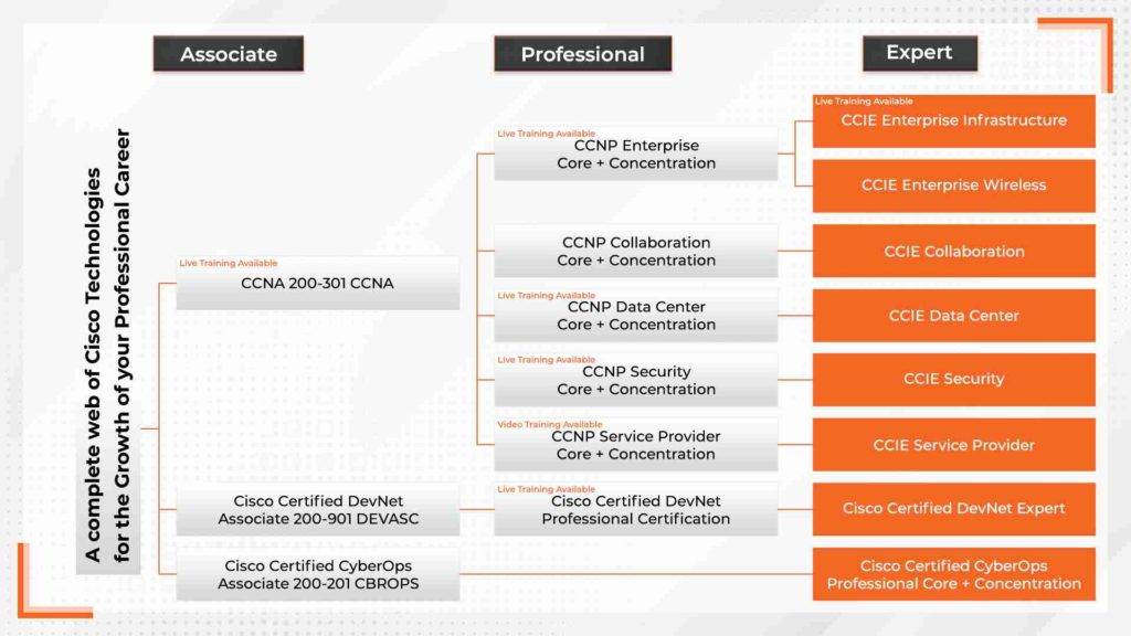 Cisco Career Paths