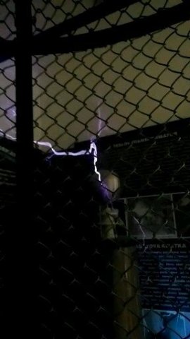 czech_student_in_sk_nov18